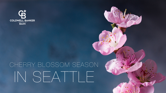 image of cherry blossom and Coldwell Banker Bain logo
